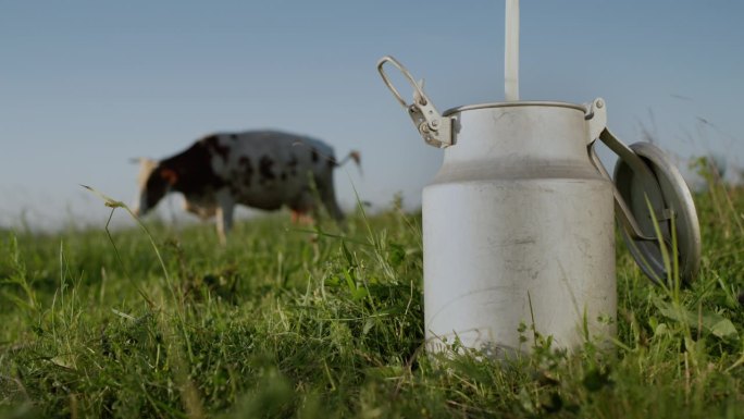 前景中，奶牛吃草的绿色牧场是一个装牛奶的容器