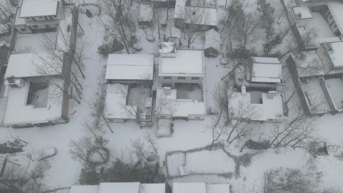 河南农村冬天下雪房屋田地白茫茫一片13
