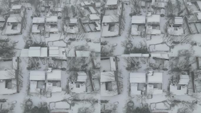 河南农村冬天下雪房屋田地白茫茫一片13