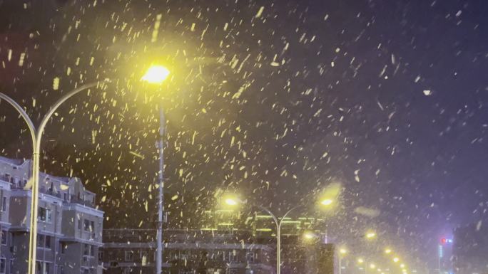 城市雪景 路灯下的雪花