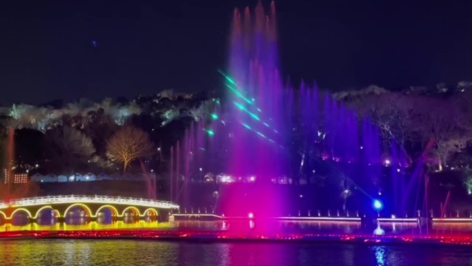 高清公园夜景之音乐喷泉