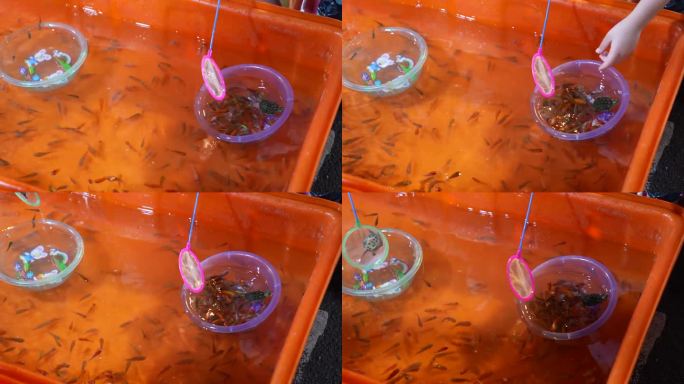 鱼舀游戏在一个橙色的桶