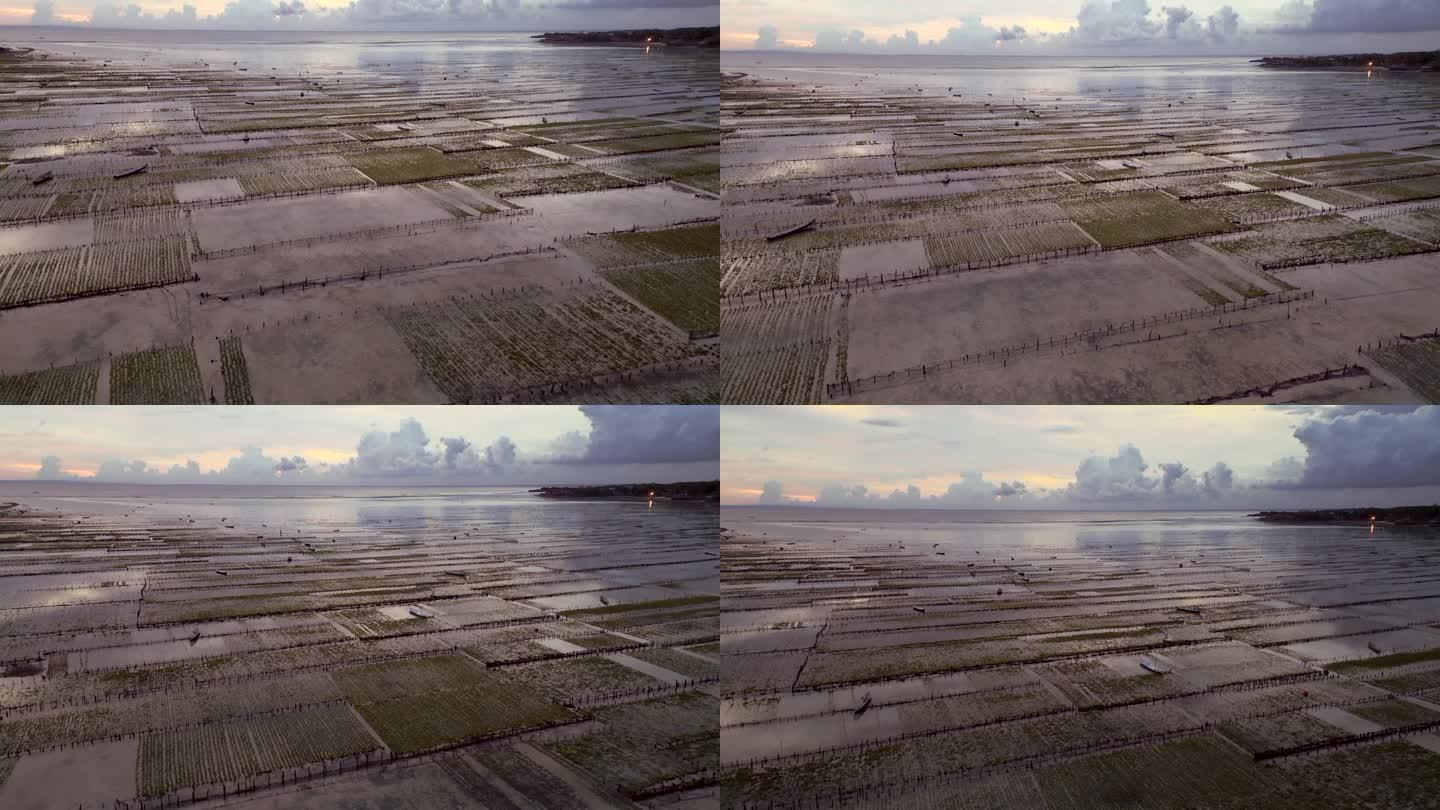 航拍广阔的海藻田和被淹没的湿地，印度尼西亚