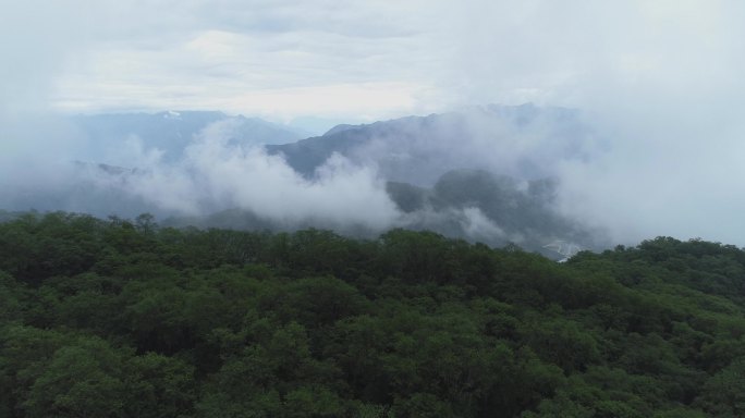 夏季山顶雨后云雾袅绕航拍风景