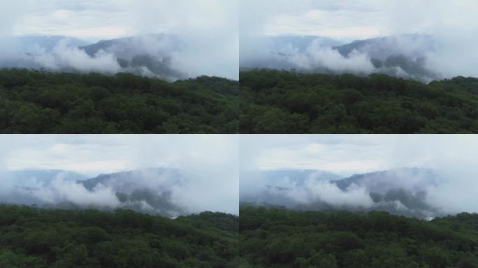 夏季山顶雨后云雾袅绕航拍风景