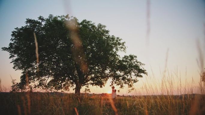 SLO MO跟踪中距离拍摄的母亲抱着孩子，站在大树下，对着晴朗的天空，在日落