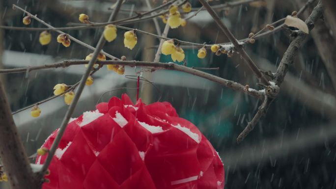 年味儿挂灯笼贴窗花雪花飘洒