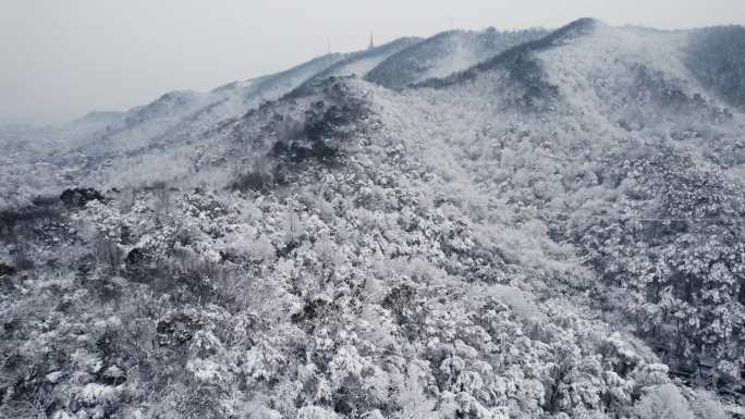 岳麓山雪景