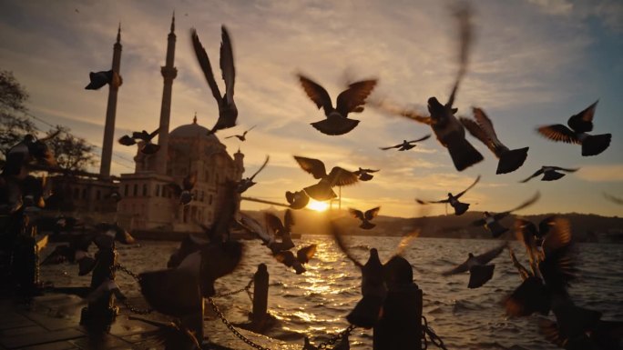 Ortakoy雄伟清真寺的慢动作黄昏宁静:鸽子的剪影从伊斯坦布尔的海滨长廊翱翔到Ortakoy雄伟的
