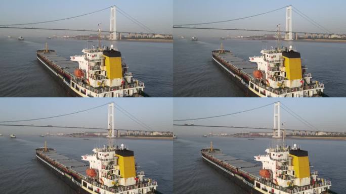 大型船舶 船队过江阴大桥 海鸥掠过船头