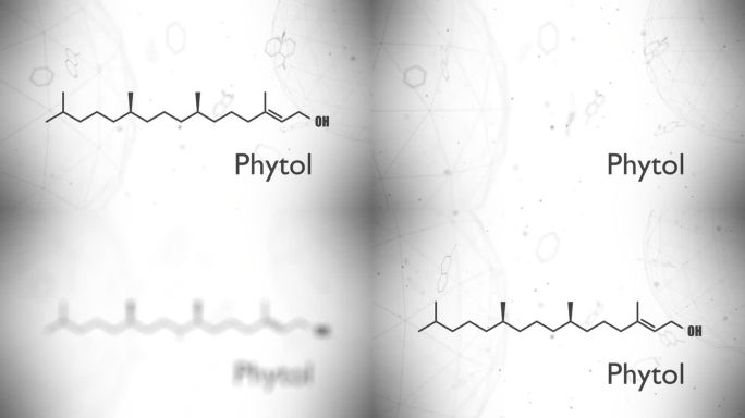 叶绿醇的结构化学式，用作制造合成维他命E和维他命K的前体，也用于香料工业