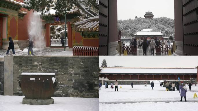 北京故宫雪景｜初雪后红墙白雪