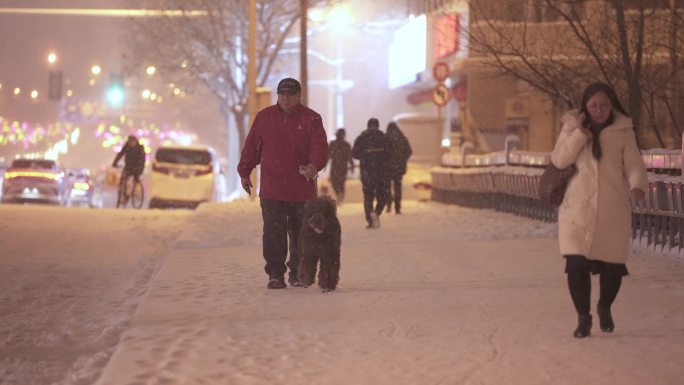 冬天夜晚雪天遛狗