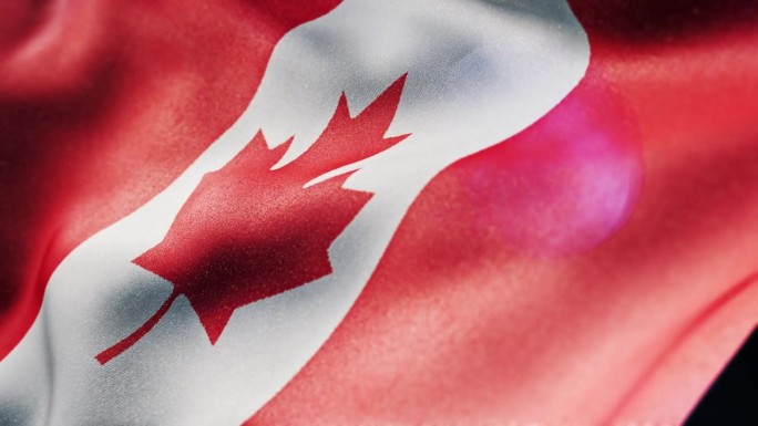 挥舞着加拿大国旗。缓慢的运动。三维渲染
