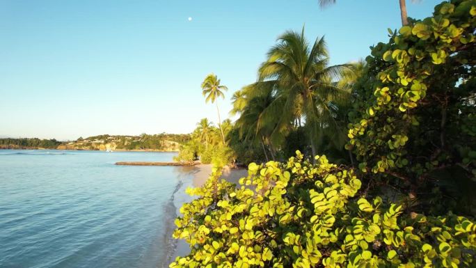 卡拉维尔海滩在圣安妮，瓜德罗普岛，法属安的列斯群岛。低空前飞