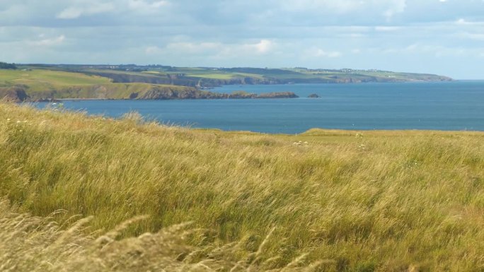摇曳的绿草与崎岖的苏格兰东海岸的壮丽景色