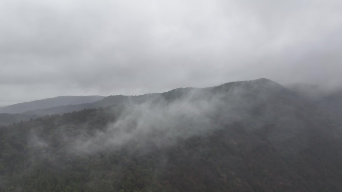 航拍山林雾气自然风光