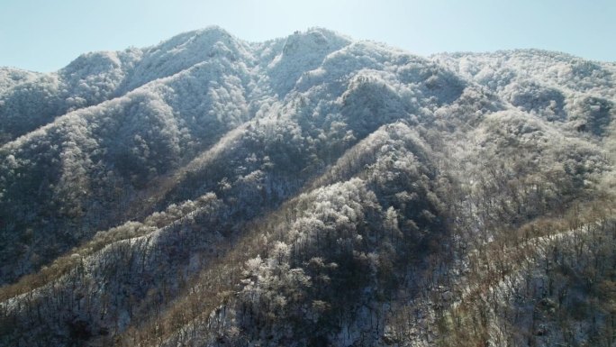 美丽的航拍画面，山上白雪覆盖的松树林。白霜和白霜覆盖着树木。4k无人机拍摄的中国浙江杭州临安白章岭冬