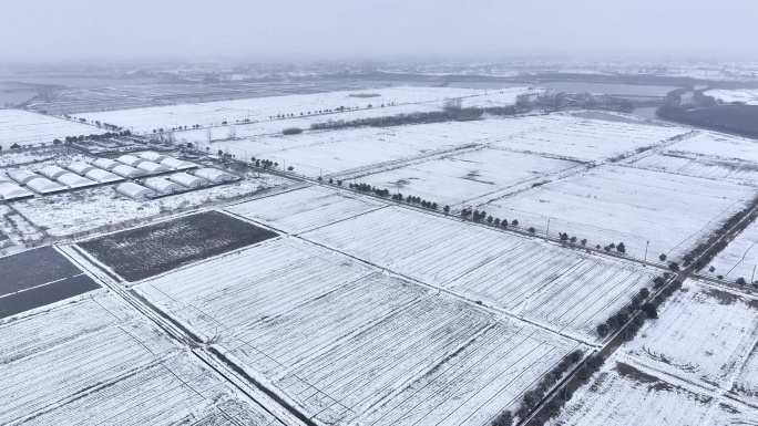 航拍农村乡镇集镇田野平原雪景