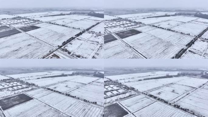 航拍农村乡镇集镇田野平原雪景