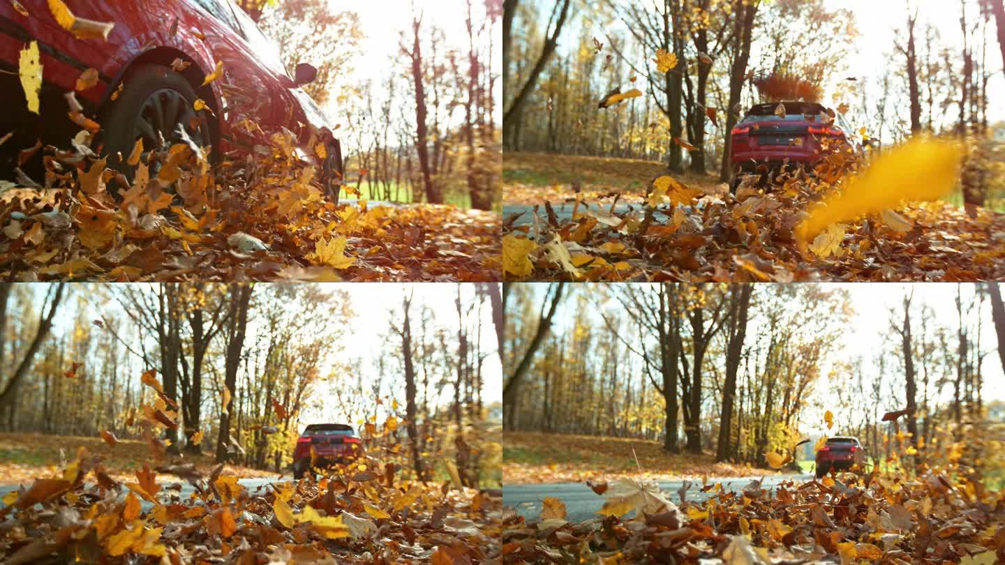 汽车在秋叶中奔跑的超级慢动作