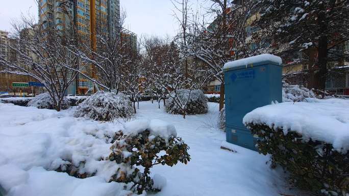 北京小区树挂雪后清晨