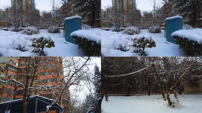 北京小区树挂雪后清晨