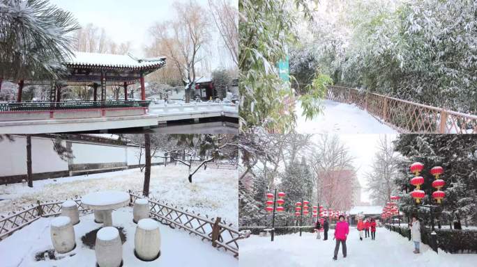 下雪 雪花 雪景 大观园 北京地标建筑