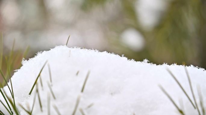 下雪升格