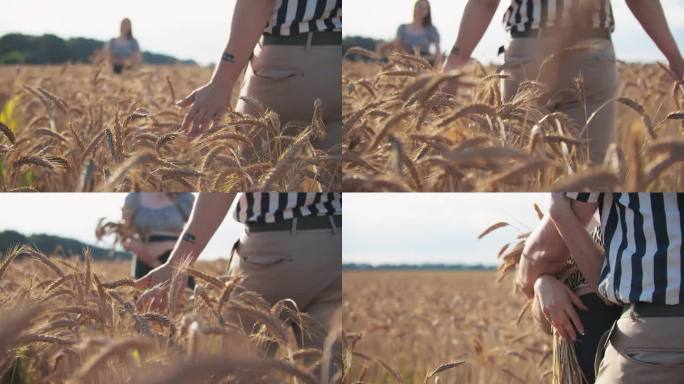 在田野里约会一个男人走到一个女人跟前，用手抚摸着麦穗