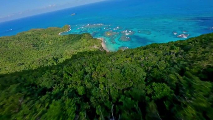 无人机飞越热带森林，降落到普拉亚埃尔米塔诺海滩，在多米尼加共和国的萨马纳。空中废票
