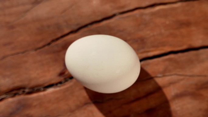 鸡蛋在木板上转圈