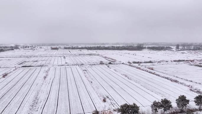 航拍农村乡镇集镇田野平原雪景