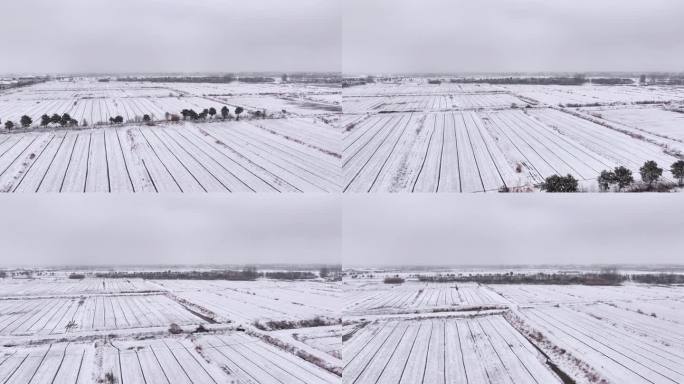 航拍农村乡镇集镇田野平原雪景