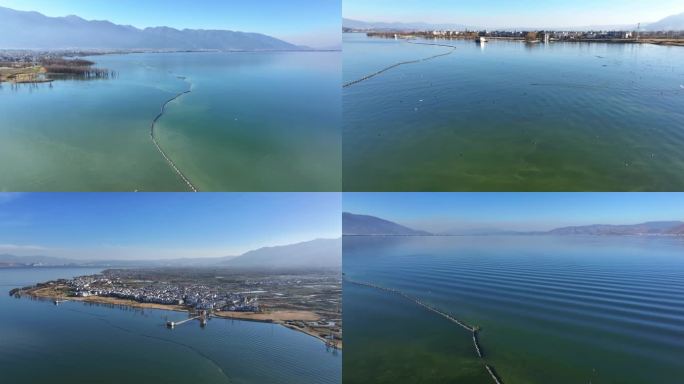 大理洱海鸟类湿地生态苍山崇圣寺三塔日出