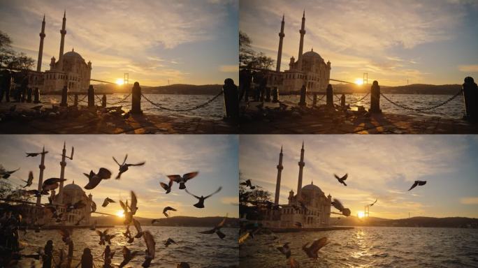 SLO MO日落宁静:鸽子从伊斯坦布尔的海滨长廊翱翔到奥尔塔科伊雄伟的清真寺和桥梁#黄金时间小夜曲#