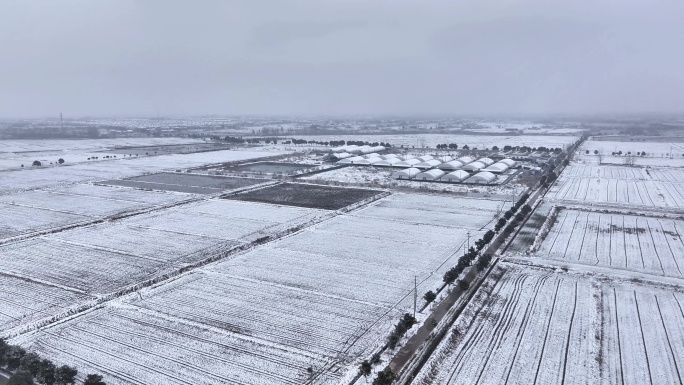 航拍农村乡镇集镇田野平原雪景