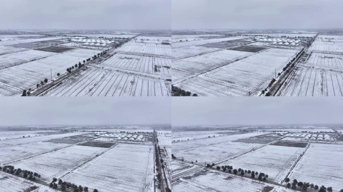 航拍农村乡镇集镇田野平原雪景