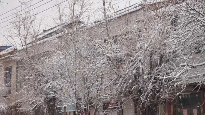 雪景48