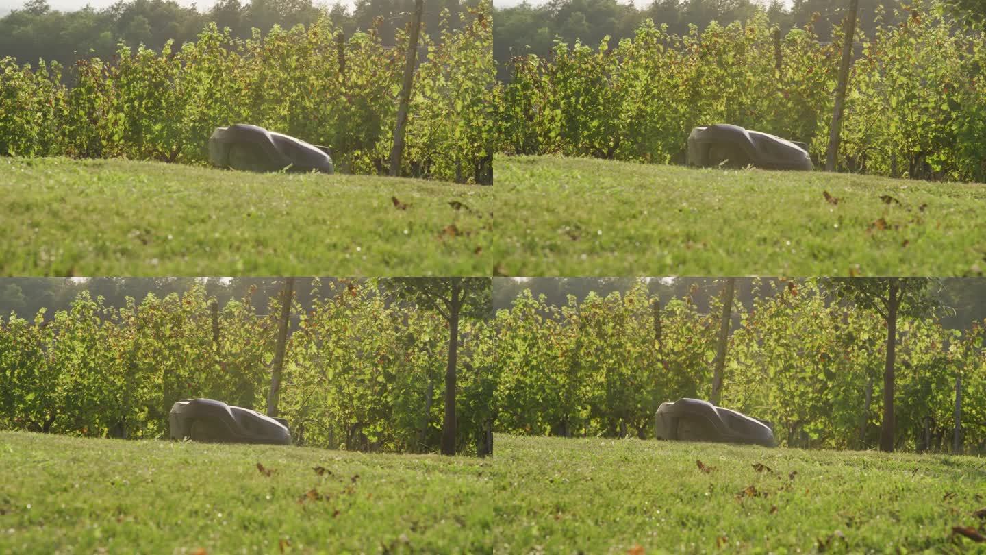 自主割草机机器人在后院割草的SLO MO跟踪镜头