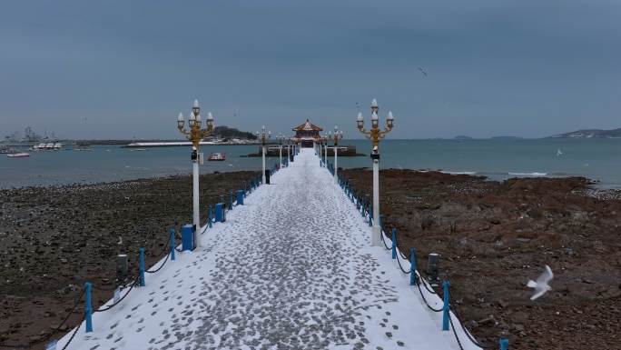 青岛雪景栈桥-2