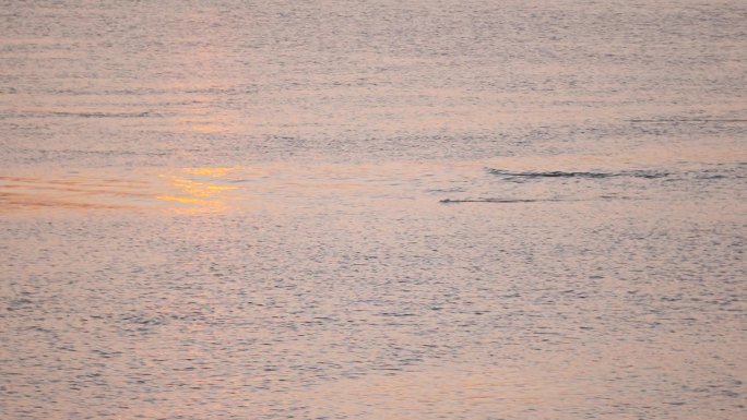 河边 夕照 湖面 波光粼粼 晚霞 剪影