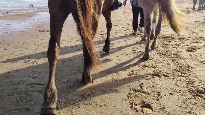 牵马行走沙滩马蹄脚印特写游客骑马行走海边
