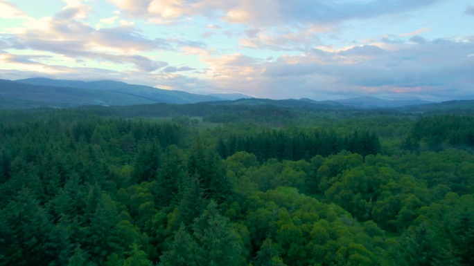 航拍:清晨色彩斑斓的天空下，苏格兰高地上广阔的混交林
