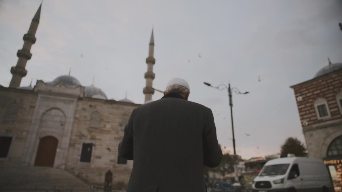 神圣的到来:老人在清真寺的鸽子中走过广场#清真寺入口#鸽子飞行
