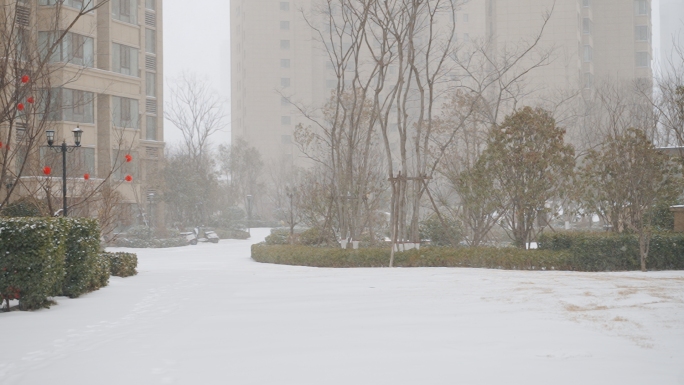 下雪飘雪慢镜头