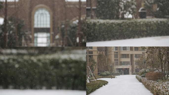 下雪飘雪慢镜头