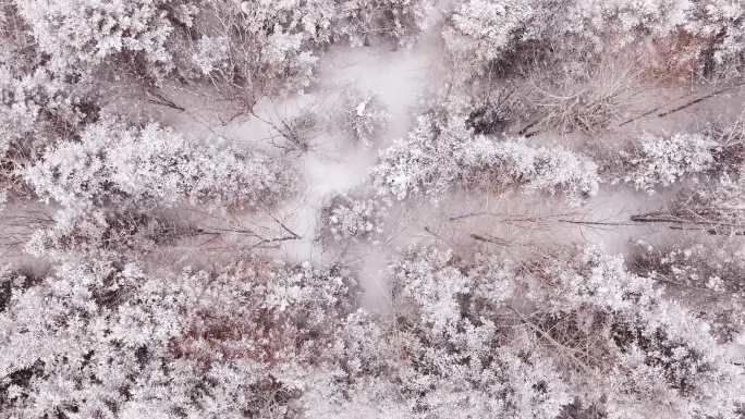 【4K】下雪的长白山