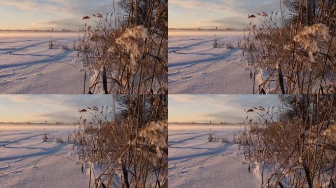 宁静的冬日风景，梦幻的冰冻大海，平静的冬日瞬间