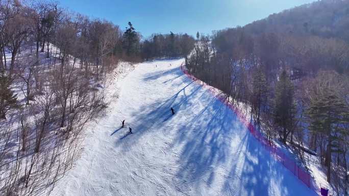 哈尔滨亚布力新滑雪场合集